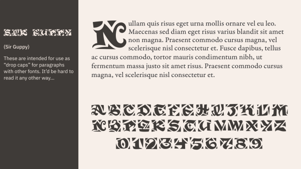 Field 2 Fonts Bundle - Image 21